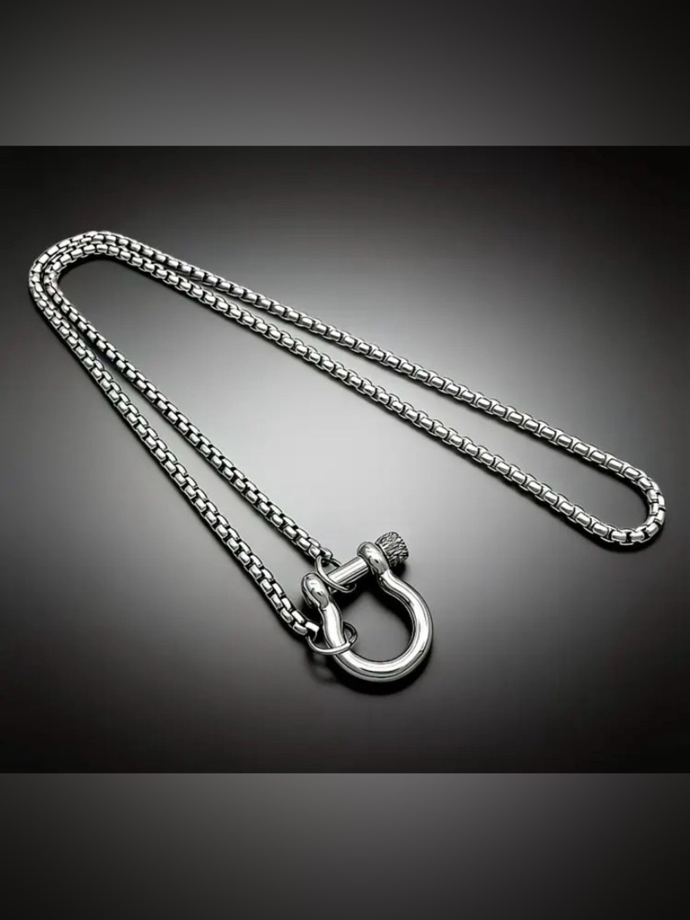 NWOT Carabiner Necklace - Picture 5 of 8